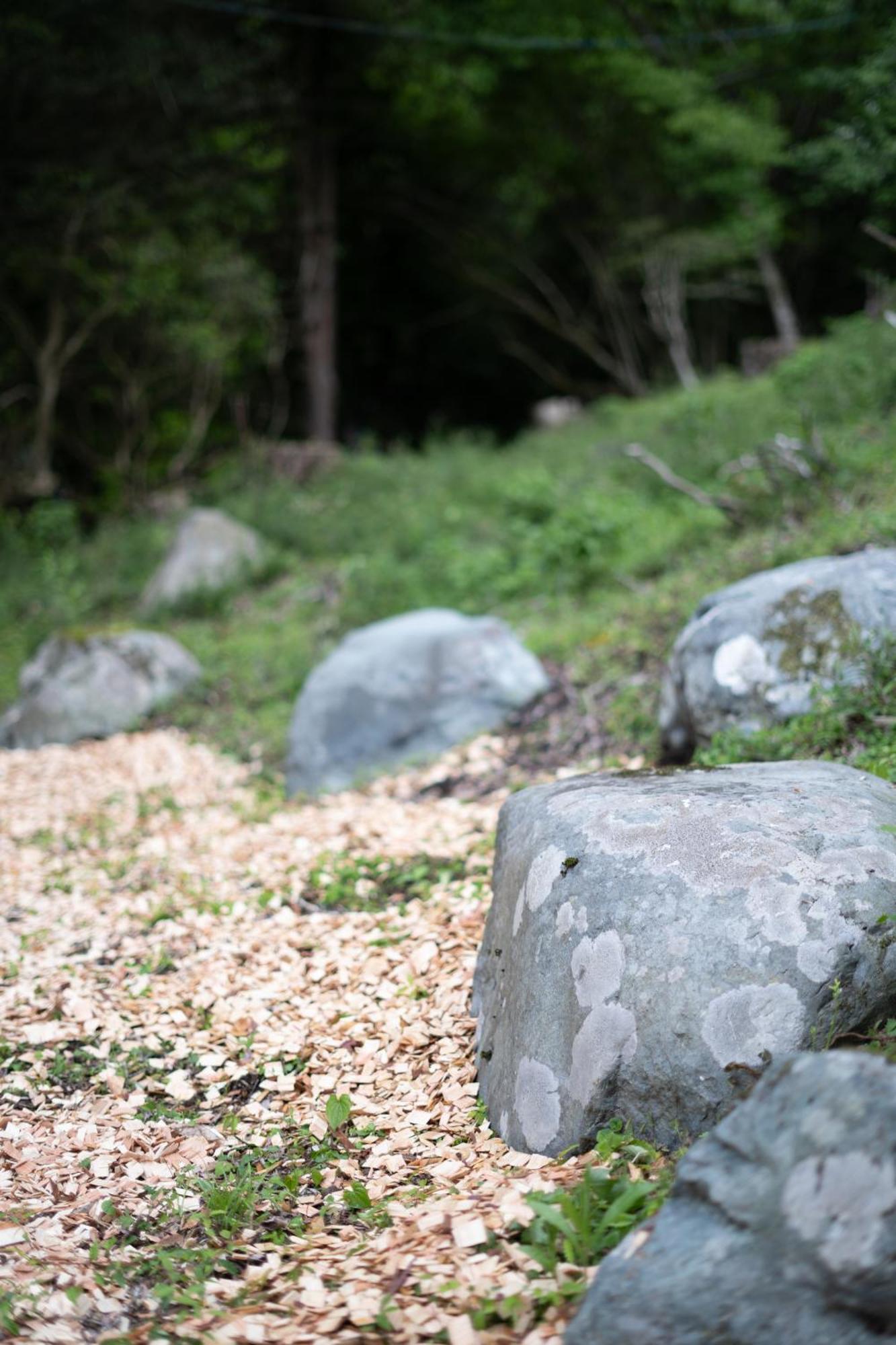 Aknot Hakone 大涌谷を望むモダニズム建築 東京から90分 Villa Kültér fotó